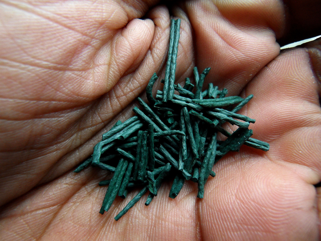 spirulina