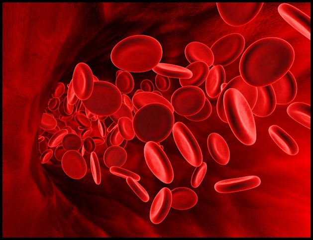 a 3d rendering of Red blood cells inside the vein.