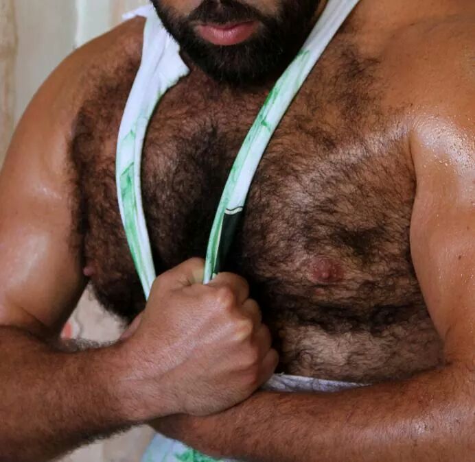 Hot Or Not : Bears