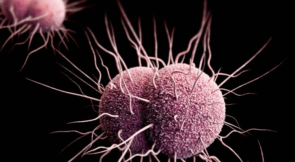 STDs : Drug-Resistant Gonorrhea, How to Fight It Off