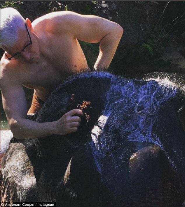 Watch This : Anderson Cooper & Boyfriend Strip Down To Wash an Elephant!
