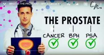 Health: Prostate in a Nutshell