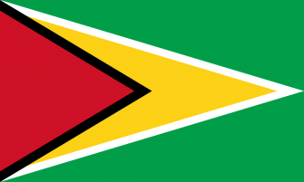 News: Guyana Strikes Down Transphobic Law
